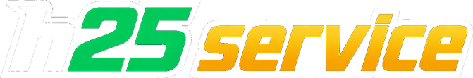h25 service